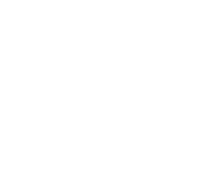 Storyseller Libri